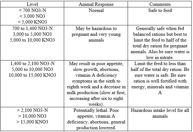 Nitrate Poisoning in Cattle with OSU's Paul Beck