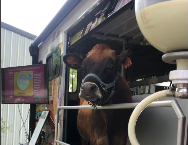 Teachers Headed back to School don't forget to request your Mobile Dairy Classroom Visit