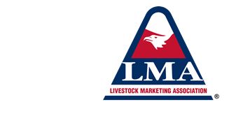 Government Needs to Get Out of the Way; Allow Auction Owners to Drive Packing Capacity and Competition