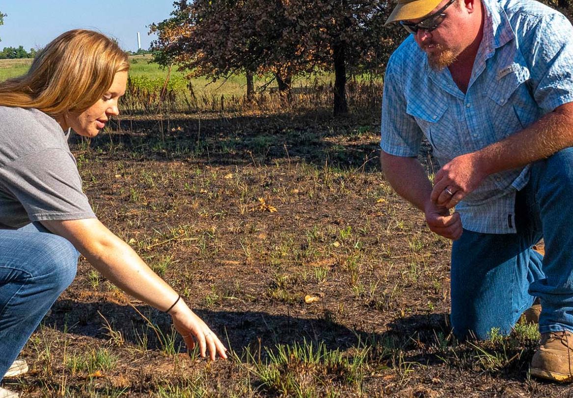 Patch burning a Potential cost saver for Supplemental feed