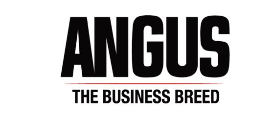 Angus/Talon Youth Educational Learning Program Internship and Host Ranch Applications Now Open
