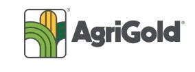 Key Ingredients for Producing a Big Soybean Crop