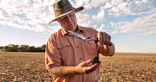 NPB and Partners Receive $155 Million from USDA Climate-Smart Program