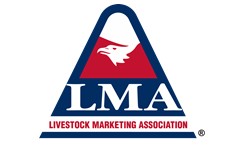 LMA Hosts 2022 Washington D.C. Fly In 