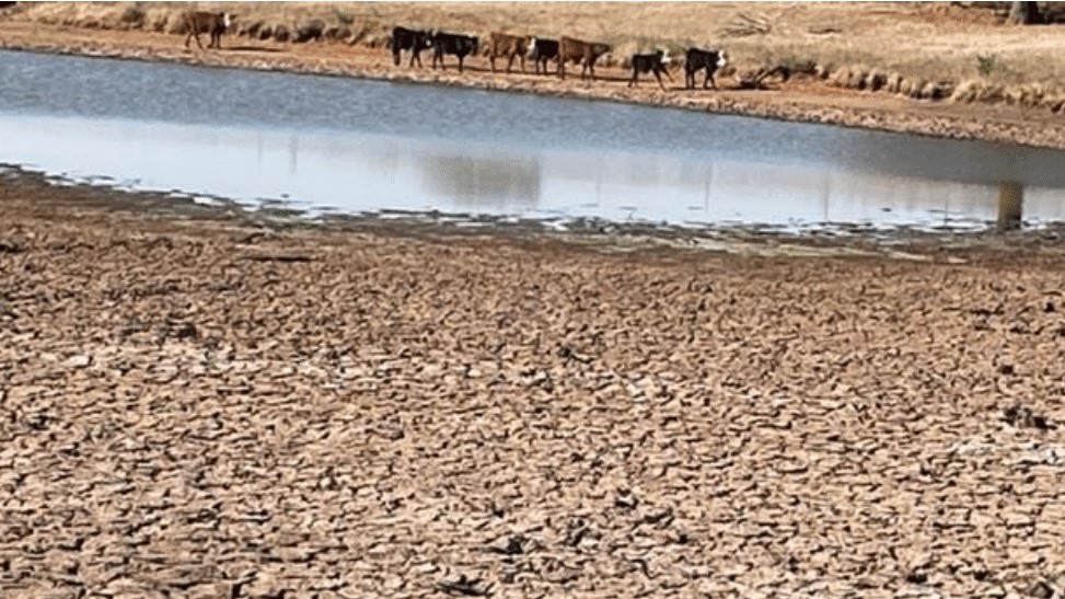 OCA Grateful to Legislature and Governor for Emergency Drought Help
