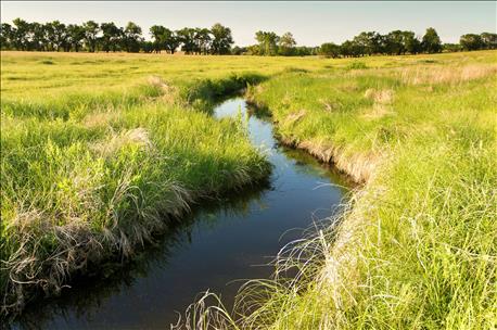 Kaitlynn Glover Reviews Supreme Court Oral Arguments on WOTUS