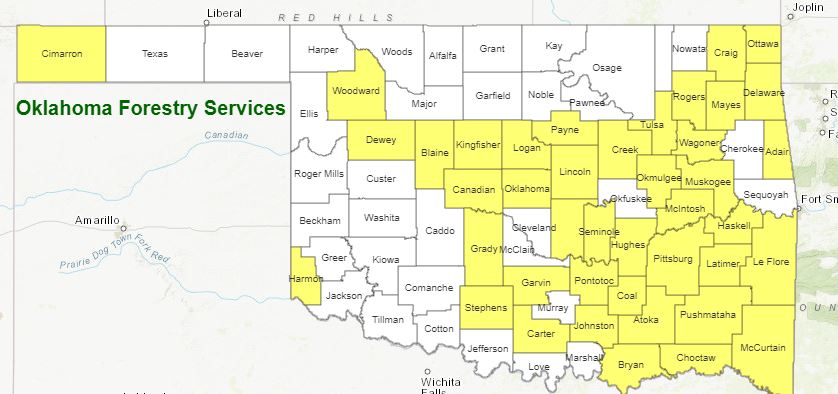 Rain Chances Across the State Ward Off Fire Danger, but Burn Bans still Cover Several Counties 