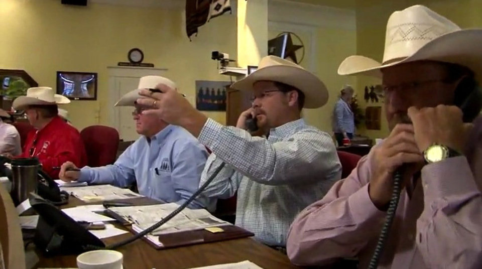 Higher Yearling But Lower Calf Prices in Latest Superior Video Auction Sale