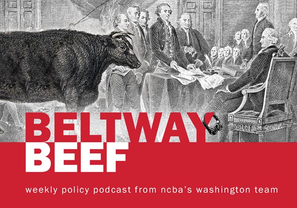 Latest NCBA Beltway Beef Podcast Episode: The Election's Impact on the Cattle Industry