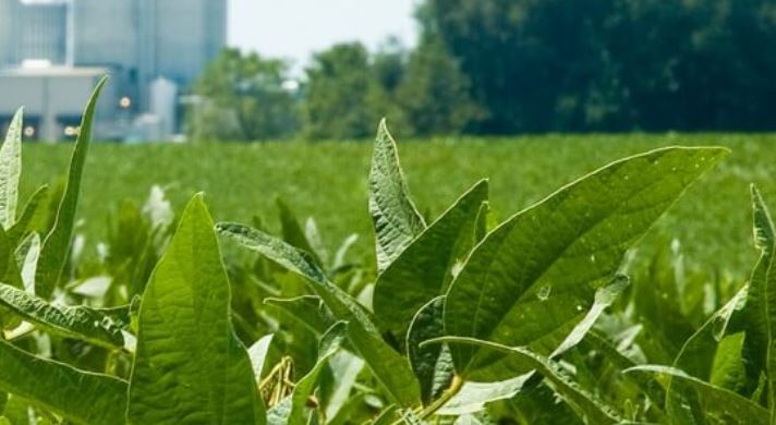 Oklahoma Grain Elevator Cash Bids as of 2 p.m. October 24, 2022