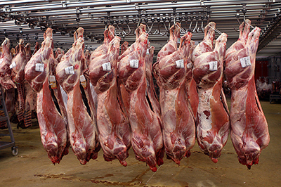 Economic Factors Create Hesitancy in Beef Plant Expansion Plans