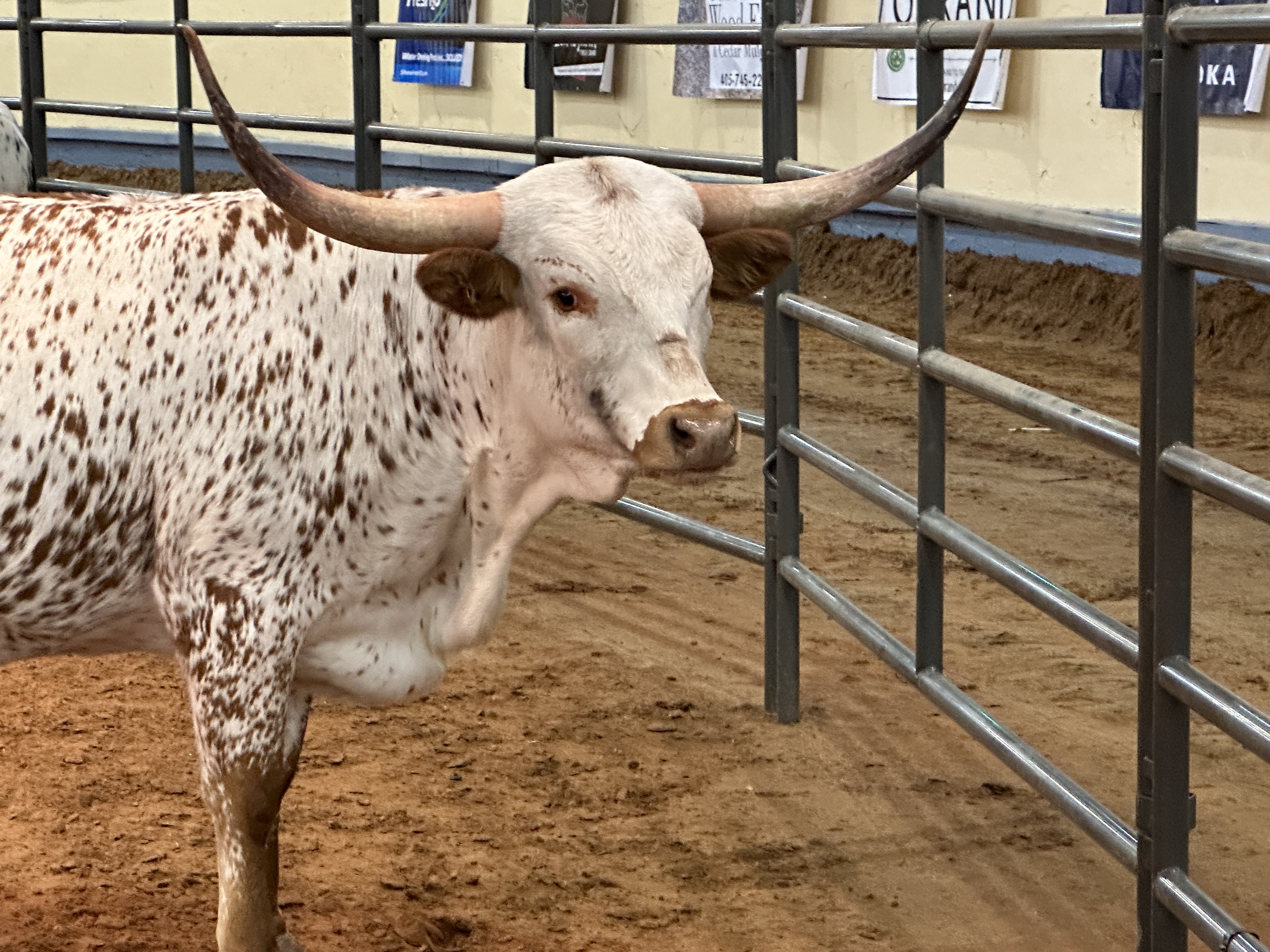 Cattlemen's Congress Jumps Off to a Great Start