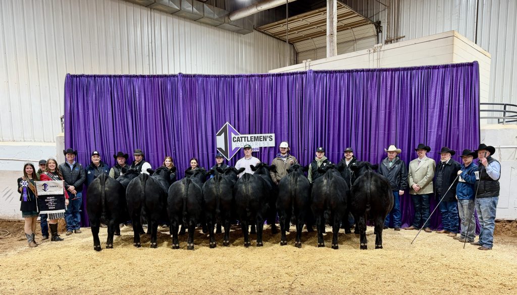 Champion Angus Carlot- shown by Express Ranches of Yukon, Oklahoma