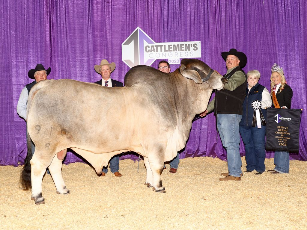 Brahman Bull Supreme Champ at 2023 Cattlemen's Congress