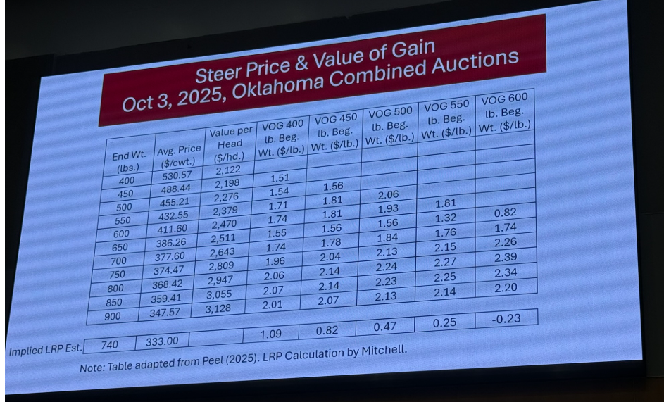 Steer Price and Value of Gain