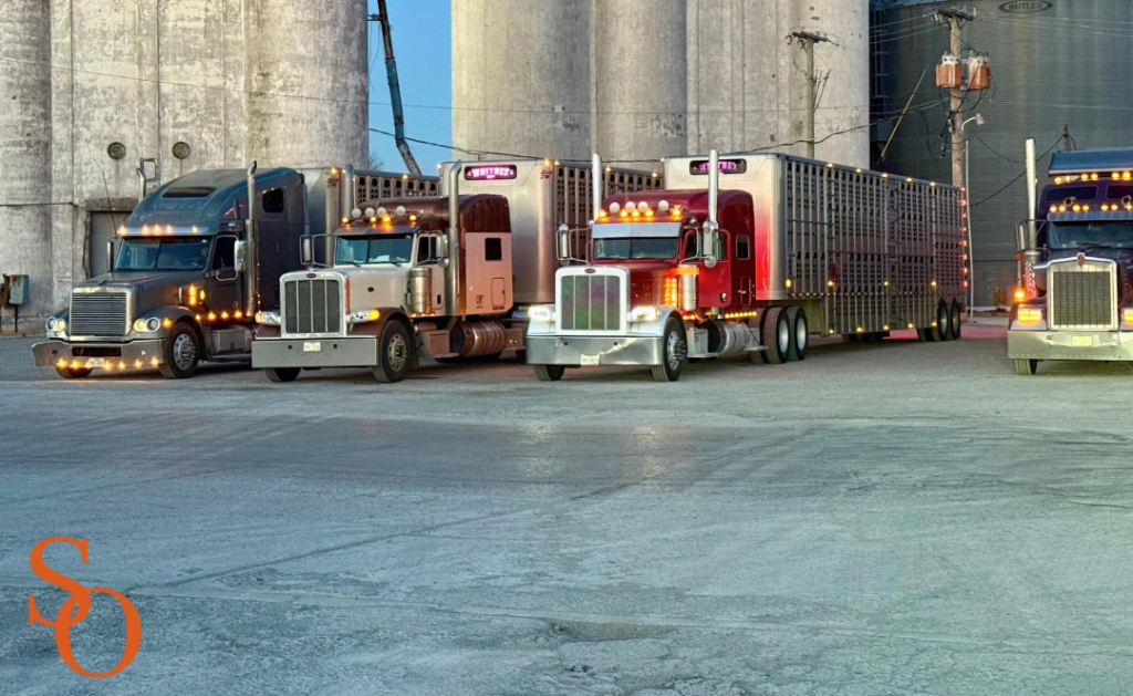 Stockmans livestock trucks