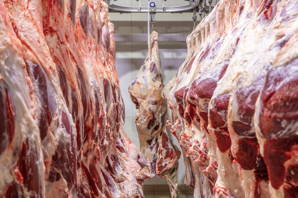 beef on hanger
