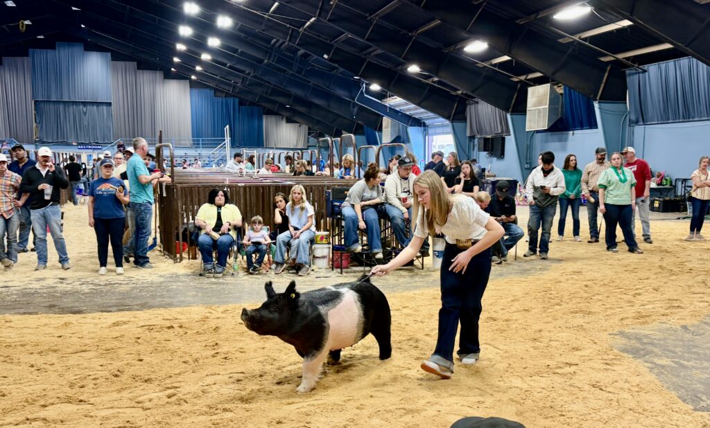 Preview video taping for Night of Stars Gilt Sale- OYE 2026