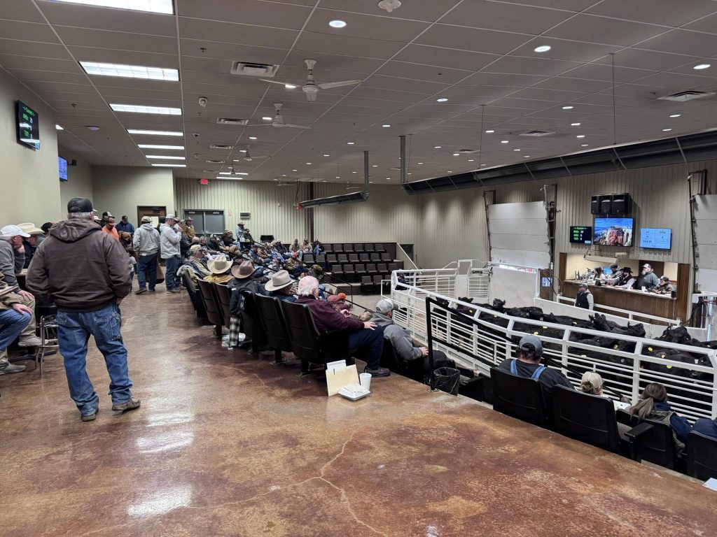 OKC West Sale Barn
