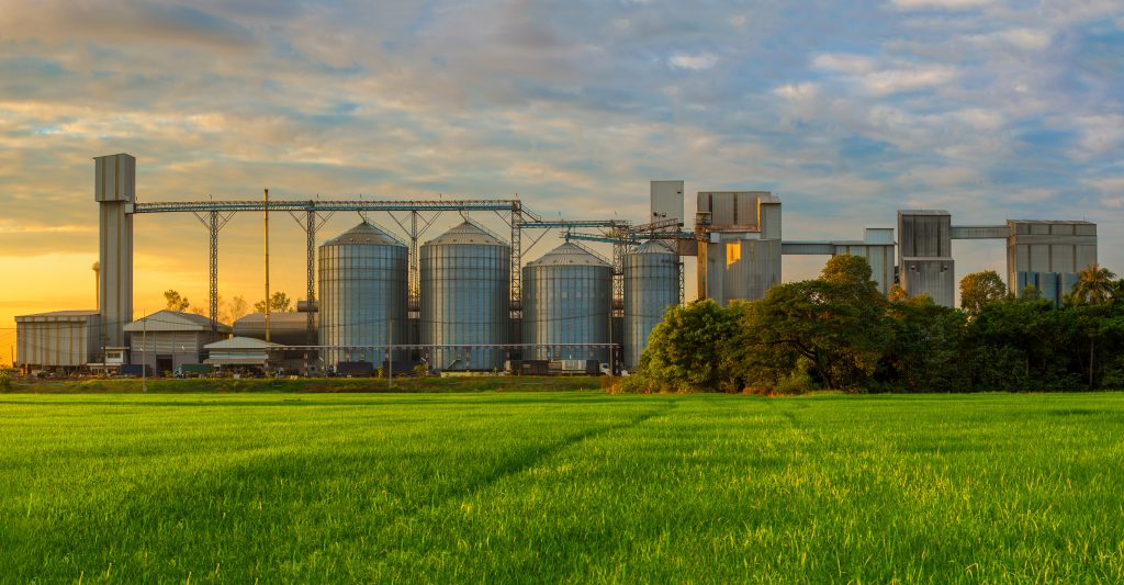 Grain in storage