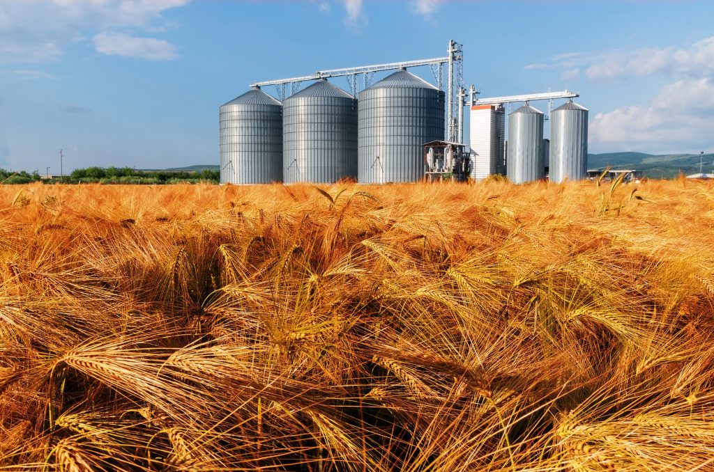 Wheat field with grain bins in background
