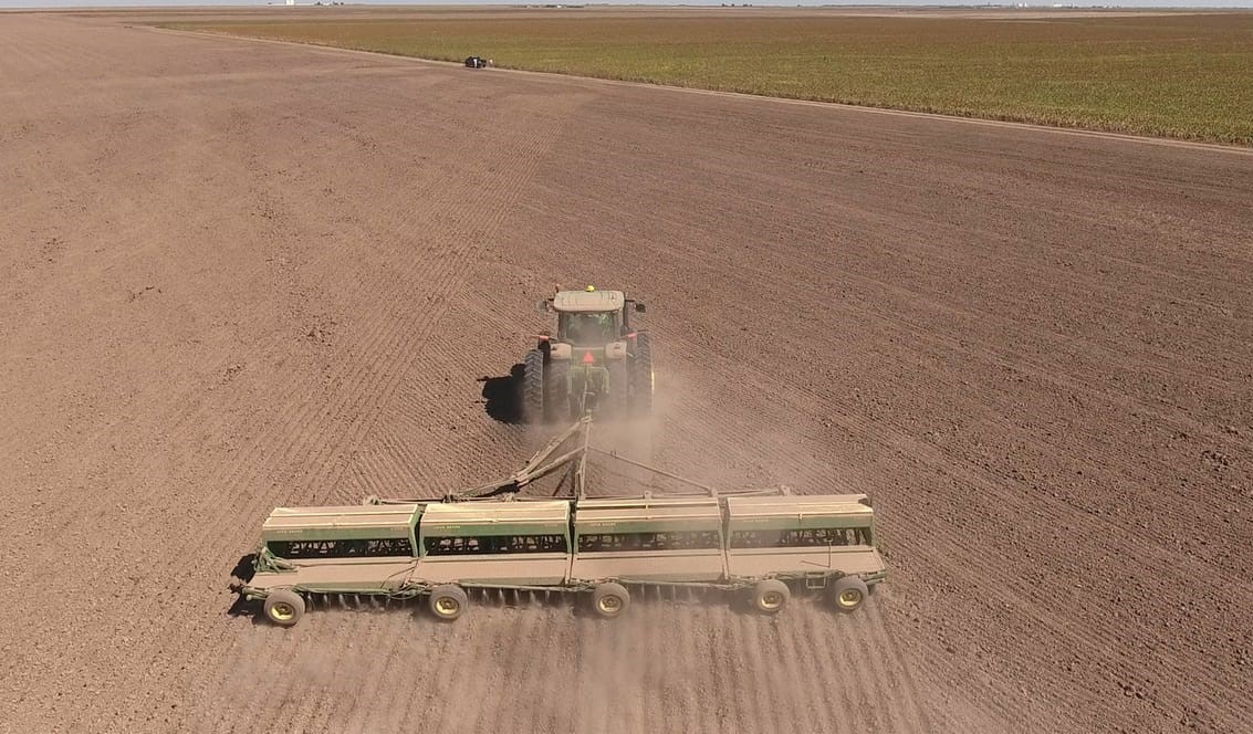 Wheat Being Dusted in- Picture is courtesy of Ks Wheat