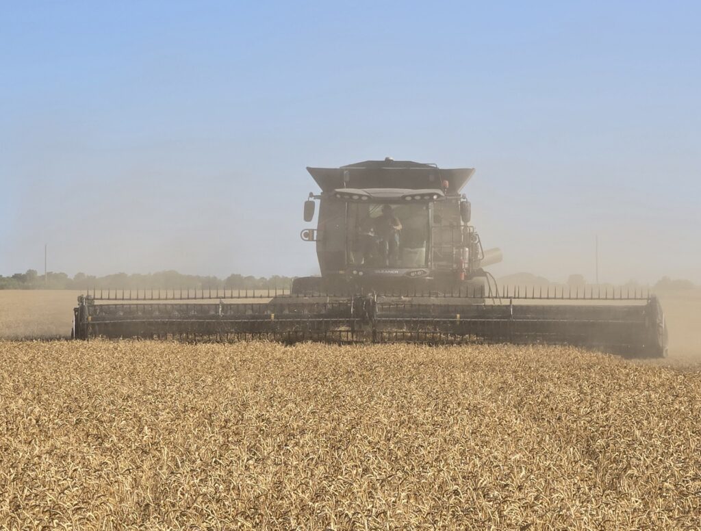 Wheat Harvest in Jackson County- the variety is Ok Corral- provided by Fred Schmedt